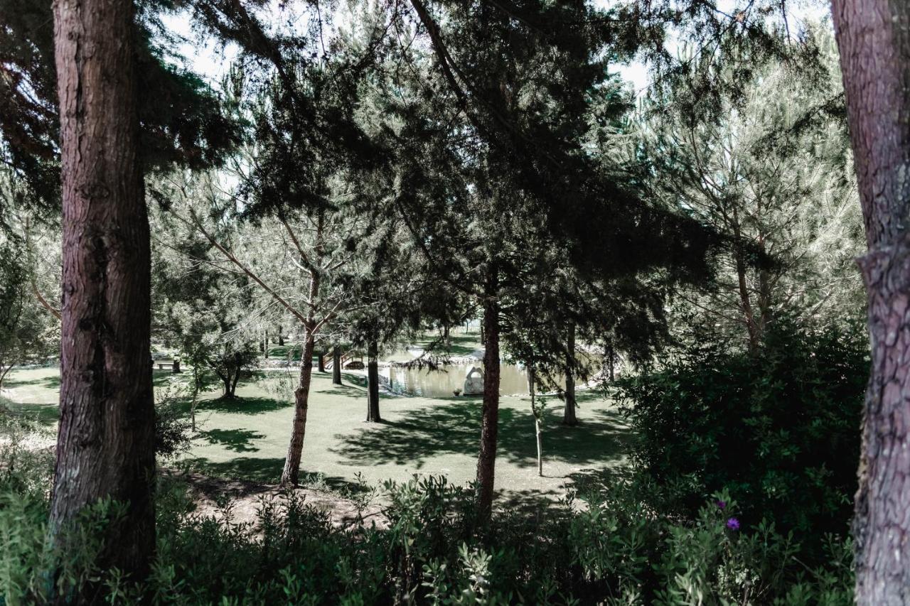 Гостьовий будинок Quinta Do Cerrado Сетубал Екстер'єр фото